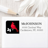 Kardinaal Vogel Rood Zwart Wit Sneeuw Elegant Adre Etiket (Insitu)