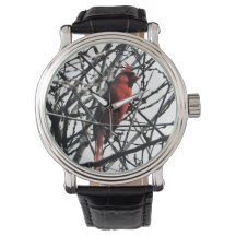 Kardinaal Vogelhorloge