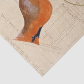 Kardinaal Vogelhuis Blauwdruk Decoupage Rood Tissuepapier (Detail)