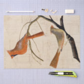 Kardinaal Vogelhuis Blauwdruk Decoupage Rood Tissuepapier (Craft)