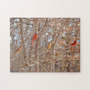 Kardinaal Vogelkoppels Herfst Seizoen Boom Natuur Legpuzzel