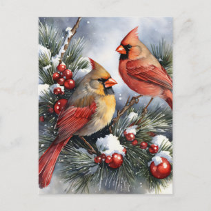 Kardinaal Vogels Kerstmis Familie Foto Briefkaart