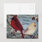 Kardinaal Vogels Seizoen Groeten Briefkaart (Voorkant / Achterkant)