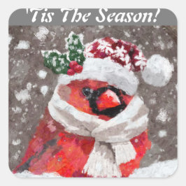 Kardinaal Vogelsjaal & Pet in Sneeuwkerst Vierkante Sticker