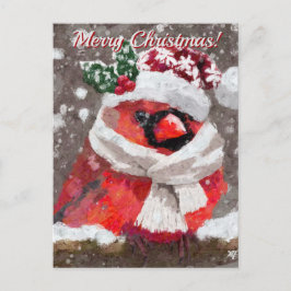 Kardinaal Vogelsjaal Pet Sneeuwvakantie Briefkaart