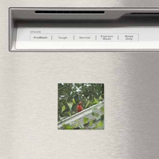 Kardinaal voor luisteren magneet (Insitu (Vaatwasser))