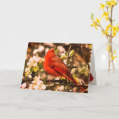Kardinaal voor Moederdag Kaart (Gele Bloem)