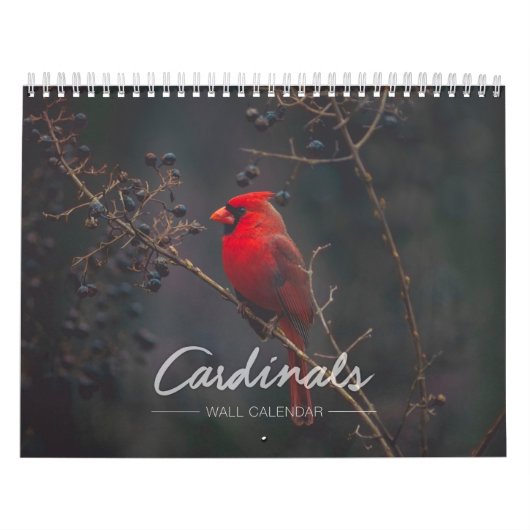 Kardinaal wandkalender kalender (Hoes)