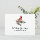 Kardinaal wenst prettige feestdagen vanuit nieuwe  aankondiging (Staand voorkant)