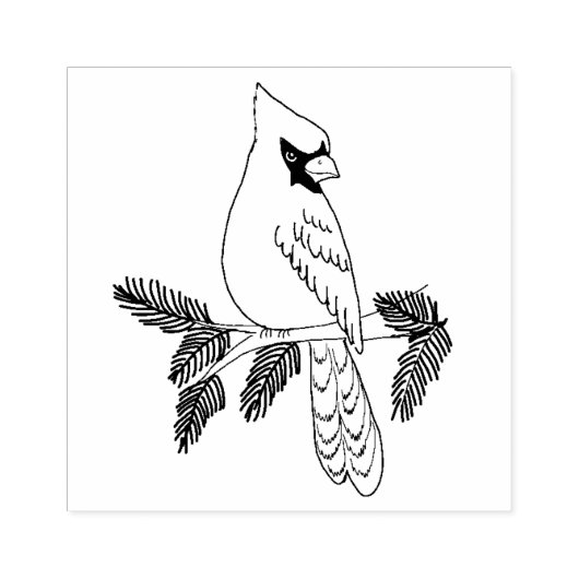 Kardinaal zit op een pijnlijk hoest rubberstempel (Afrduk)