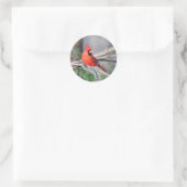 Kardinaal zomerreces ronde sticker (Tas)