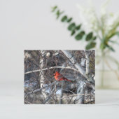 Kardinaalboom Briefkaart (Staand voorkant)