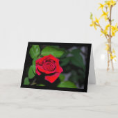 Kardinaalrode Roos Kaart (Gele Bloem)