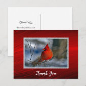 Kardinaalrode Winter Foto Bedankt Briefkaart (Voorkant / Achterkant)