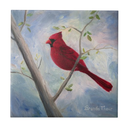 Kardinaaltegel Tegeltje (Voorkant)