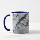 Kardinaalvogelkoppel in Sneeuwboom Natuurmok Mok (Links)