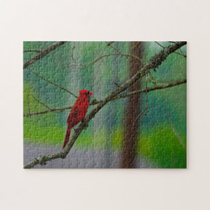 Kardinaalvogels. Legpuzzel