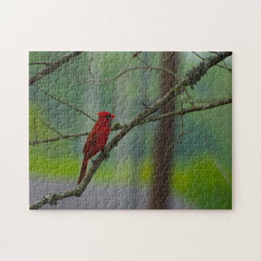 Kardinaalvogels. Legpuzzel (Horizontaal)