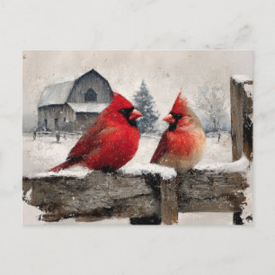 Kardinaalvogels Oude Boerderij Briefkaart