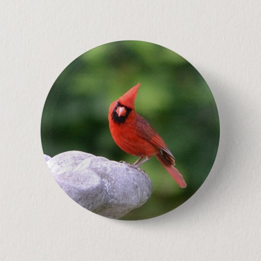Kardinale Button (Voorkant)
