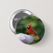 Kardinale Button (Voorkant /achterkant)
