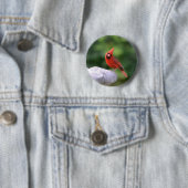 Kardinale Button (In situ)
