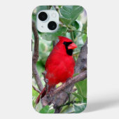 Kardinale iPhone/iPad-draagtas Case-Mate iPhone Case (Achterkant)