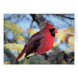 Kardinale kaart voor dagelijkse notities