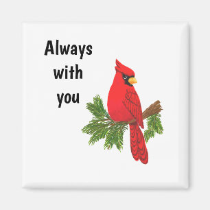 kardinale magneet , altijd met jou , vogel , sympa