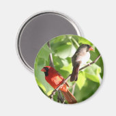 Kardinale Mates Magneet (Voorkant / Achterkant)