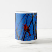 Kardinale mok (Center)