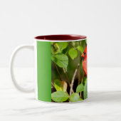 kardinale mok (Links)