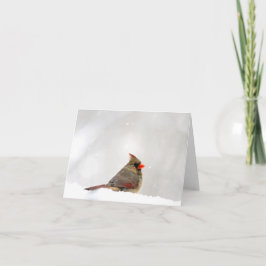 Kardinale opmerking/Wenskaart Kaart