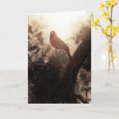 Kardinale sympathiekaart kaart (Gele Bloem)