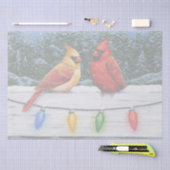 Kardinale vogels en kerstlichten tissuepapier (Craft)