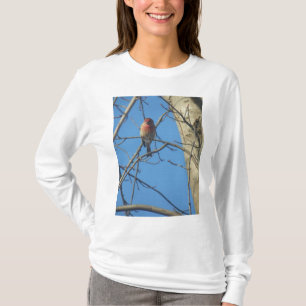 Kardinale vogels t-shirt