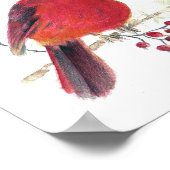 Kardinale Waterverf Art Print (Hoek)