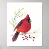 Kardinale Waterverf Art Print (Voorkant)