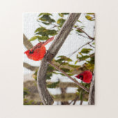 Kardinalen brengen kleur naar winter legpuzzel (Verticaal)