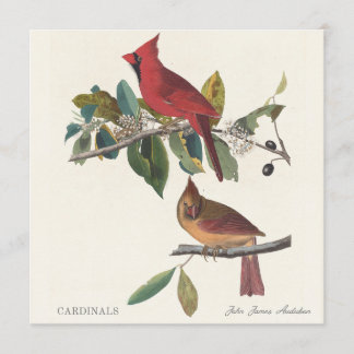 Kardinalen door John James Audubon