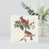 Kardinalen door John James Audubon (Staand voorkant)