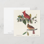 Kardinalen door John James Audubon (Voorkant / Achterkant)