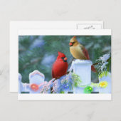 Kardinalen en kerstlichten feestdagenkaart (Voorkant / Achterkant)