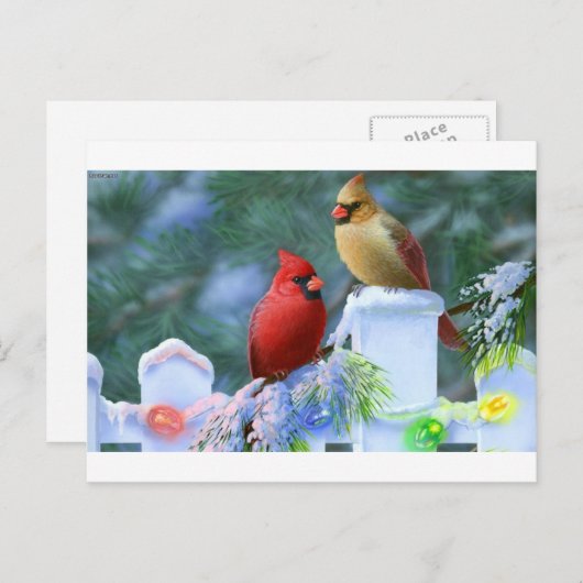 Kardinalen en kerstlichten feestdagenkaart (Voorkant / Achterkant)