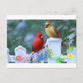 Kardinalen en kerstlichten feestdagenkaart (Voorkant)