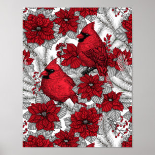Kardinalen en poinsettia, rood en wit poster