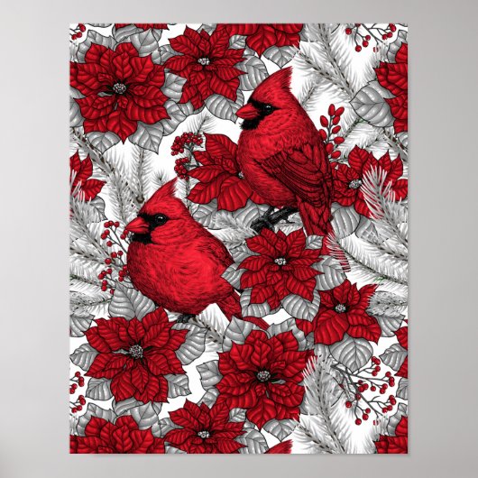 Kardinalen en poinsettia, rood en wit poster (Voorkant)