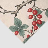 Kardinalen en rode bessen decoupage tissuepapier (Detail)