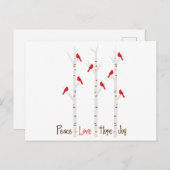 Kardinalen in bijkantoor briefkaart (Voorkant / Achterkant)