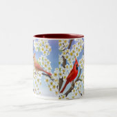 Kardinalen in bloeiende Mok van de Apple Tree (Center)